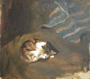Sleeping cat by Paul Raud, Paul Raud
